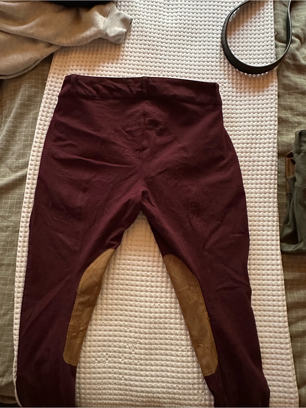 Elation Chelsea breeches